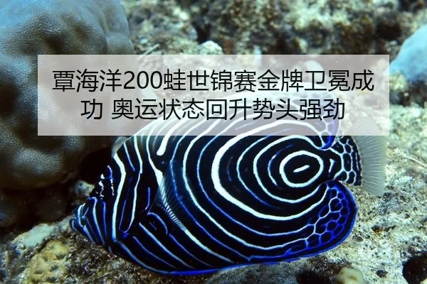 覃海洋200蛙世锦赛金牌卫冕成功 奥运状态回升势头强劲