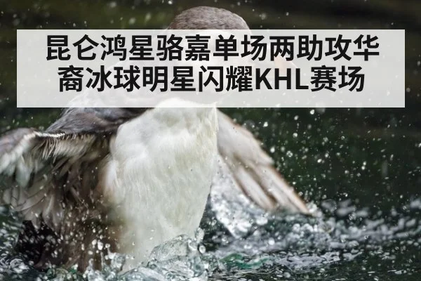昆仑鸿星骆嘉单场两助攻华裔冰球明星闪耀KHL赛场